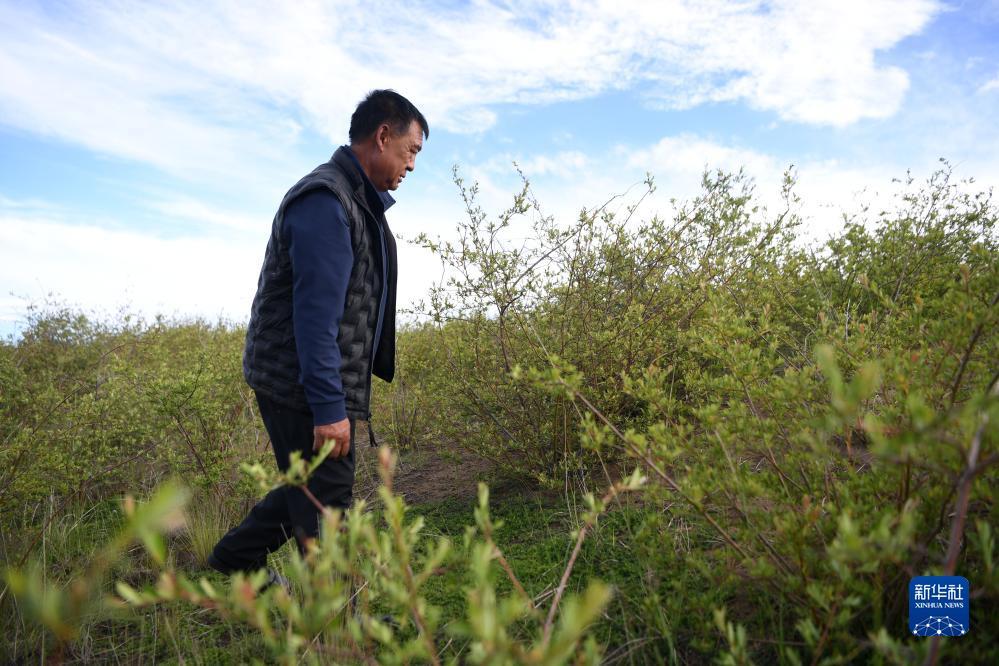 天庭娱乐游戏平台3621